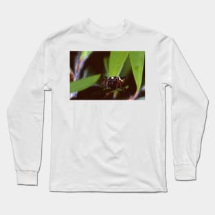 6 Horned Spider Long Sleeve T-Shirt